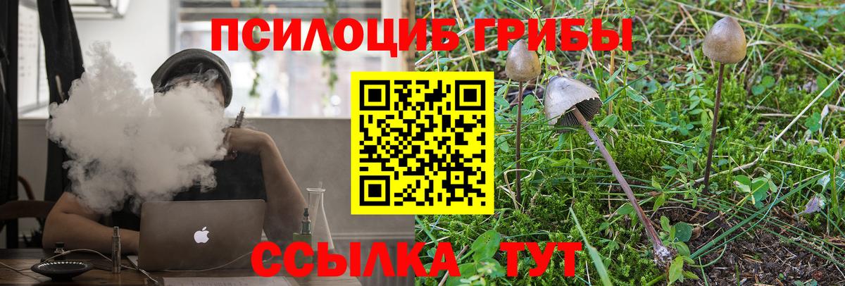Галлюциногенные грибы мицелий  Вход с VPN  Белово 